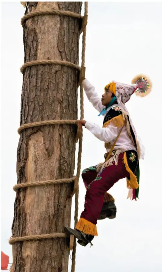 Fotografía de un participante de fiesta tradicional (posiblemente un Parachico o danzante) trepando un tronco de madera con cuerdas enrolladas, con traje tradicional colorido y sombrero ornamentado.