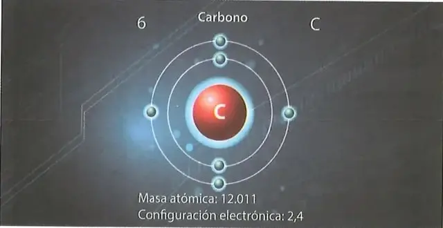 Figura 4 de Ciencias Naturales 8° · Egb 8 Ciencias Naturales 2025 · 2025
