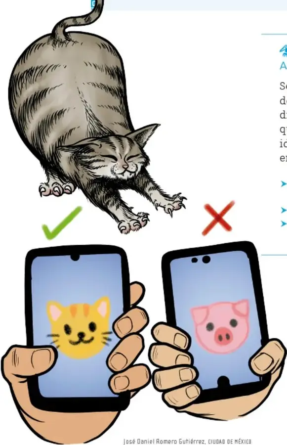 Ilustración de un gato estirándose sobre dos celulares, uno muestra un emoji de gato con palomita verde y el otro un emoji de cerdo con equis roja.