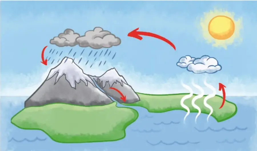 Ilustración del ciclo del agua: Sol, mar, nubes, lluvia, montañas nevadas y flechas rojas que indican evaporación, condensación, precipitación, escurrimiento e infiltración.