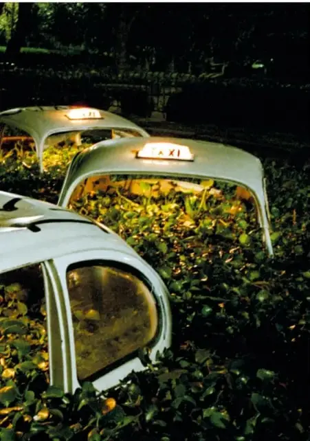 Detalle de luminarios con forma de techo de taxi encendidos entre setos verdes, de la obra *No todo lo que brilla es verde* (2005).