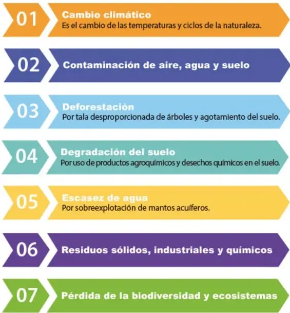 Infografía de siete bandas con flechas numeradas 01 a 07, cada una con un color distinto, que listan los problemas ambientales provocados por los sistemas técnicos.