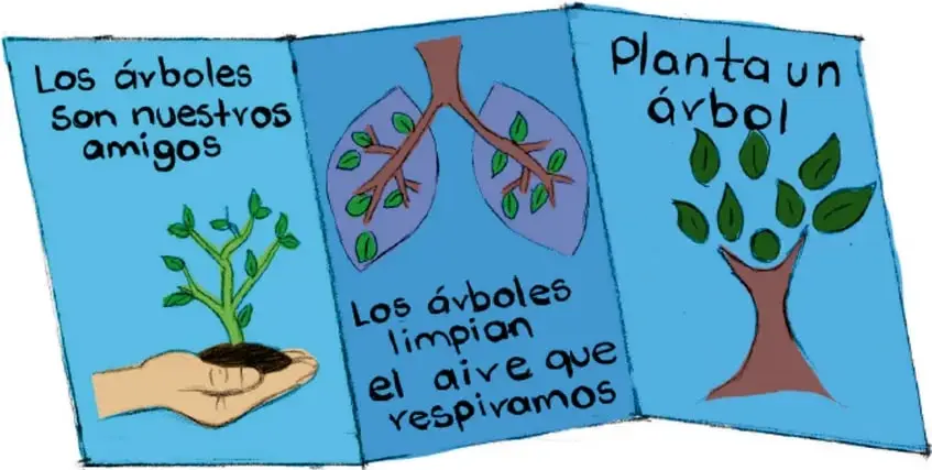 Ilustración de un folleto desplegable en tres paneles azules: 1) una mano sosteniendo una planta con el texto 'Los árboles son nuestros amigos'; 2) unos pulmones con hojas y venas arboladas con el texto 'Los árboles limpian el aire que respiramos'; 3) un árbol con el texto 'Planta un árbol'. Crédito: Filomena Tun Cocon, Quintana Roo.