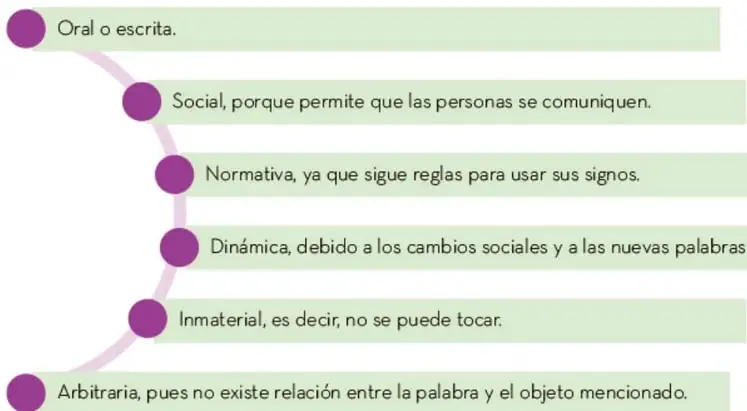 Esquema en cadena (lista vertical con círculos morados unidos por una línea curva) que enumera las seis características de la lengua sobre rectángulos verdes claros.
