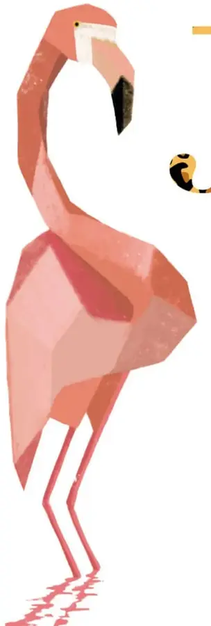 Flamenco rosa de estilo geométrico, de pie sobre una superficie con reflejo.