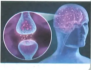 Ilustración del cerebro y una representación de conexiones neuronales.