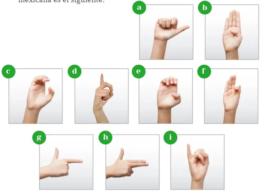 Nueve fotografías enmarcadas en blanco con etiquetas verdes: las señas con las manos de las letras a, b, c, d, e, f, g, h e i del alfabeto de la LSM.