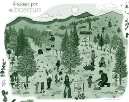 Miniatura de la ficha 'Paseo por el bosque': escena ilustrada en tonos verdes de un bosque con árboles, montañas, un río y varias personas sembrando, caminando y realizando actividades al aire libre, con letreros e íconos intercalados.
