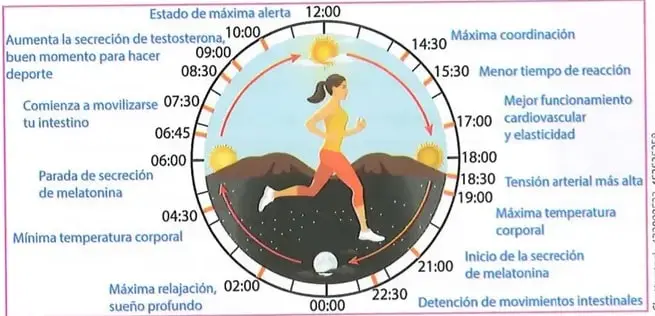 Figura 1 de Ciencias Naturales 8° · Egb 8 Ciencias Naturales 2025 · 2025