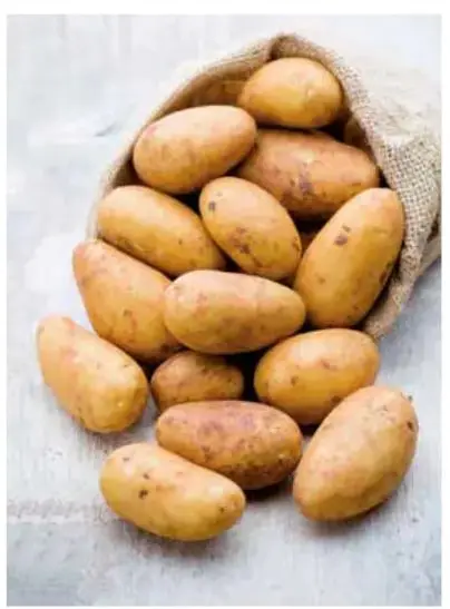Trece papas dentro de un saco de yute sobre fondo gris claro.