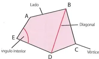 Figura 4 de Matematica 7° · 2025