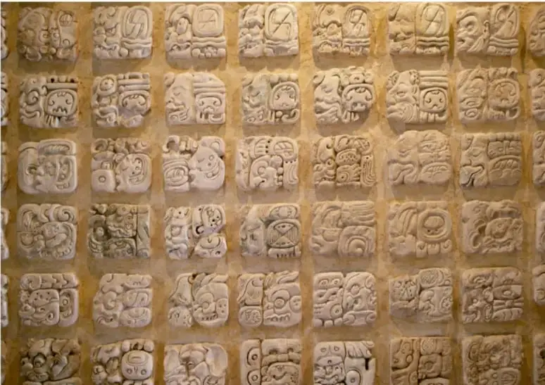 Fotografía de una pared de piedra con múltiples glifos o jeroglíficos tallados en relieve, propios de la escritura mesoamericana.