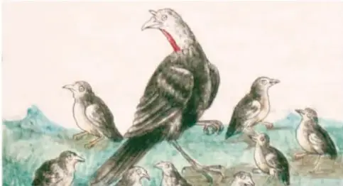 Pintura histórica de aves (guajolotes y polluelos) en el campo.