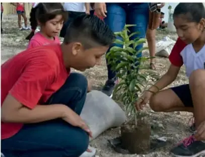 Estudiantes plantando un árbol en el patio escolar.