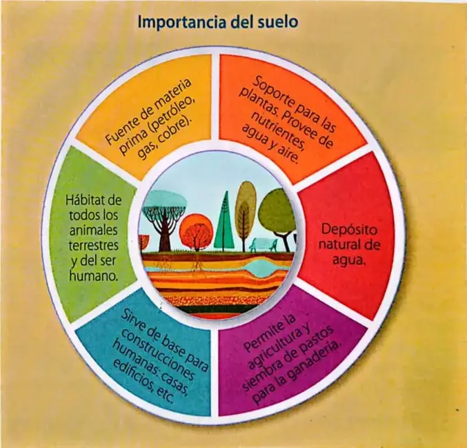 Recuadro de interdisciplinariedad sobre Ciencias Naturales y Edafología.