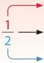 Esquema con la fracción 1/2 señalando con flechas el numerador, la línea fraccionaria y el denominador, cada uno con su definición.