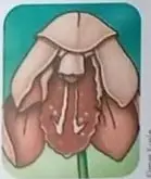 Ilustración de maleta abierta con familia.