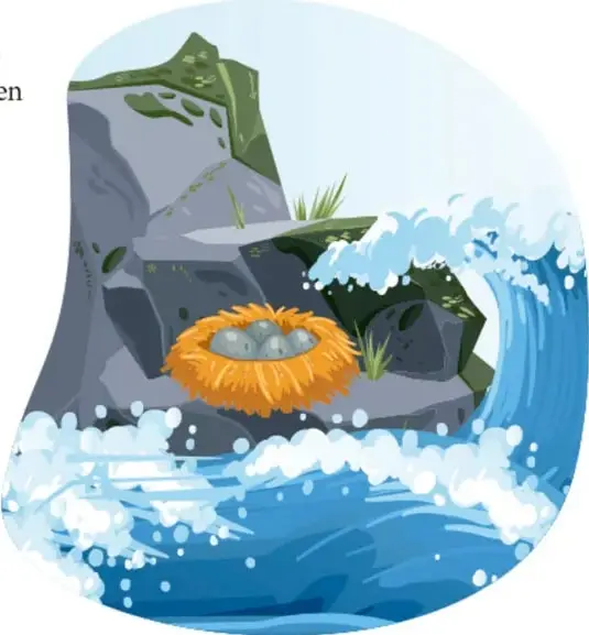 Ilustración de una alción (martín pescador) volando sobre el mar con un nido flotante.