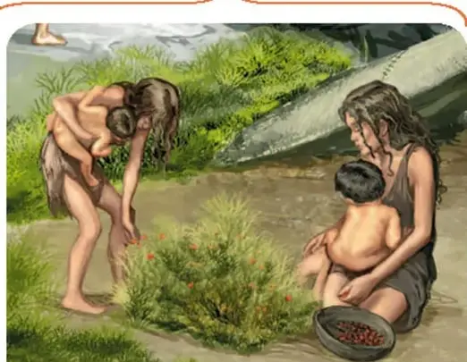 Mujeres y niños recolectando plantas y frutos en un entorno natural.