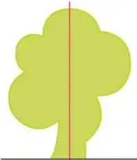 Árbol verde con eje vertical rojo, etiquetado 'Asimétrico'.
