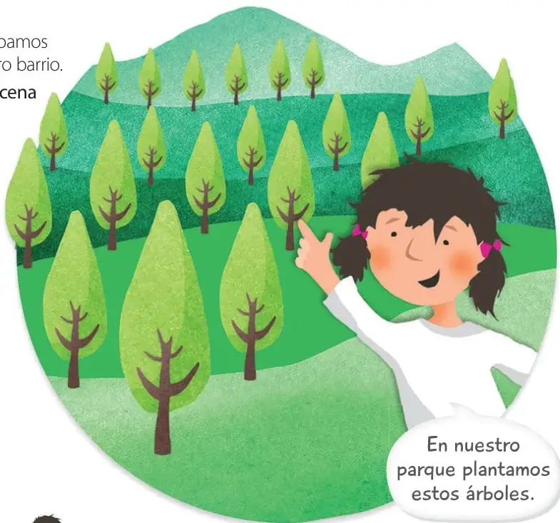 Ilustración de una niña señalando un bosquecillo de árboles plantados en una ladera verde, con el bocadillo «En nuestro parque plantamos estos árboles.»