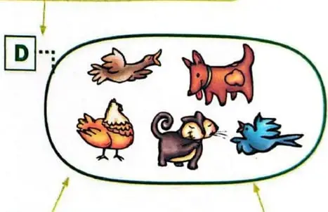 Representación del conjunto D entre llaves, con cinco animales separados por comas.