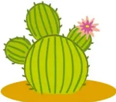 Ilustraciones de plantas suculentas y cactus del desierto.