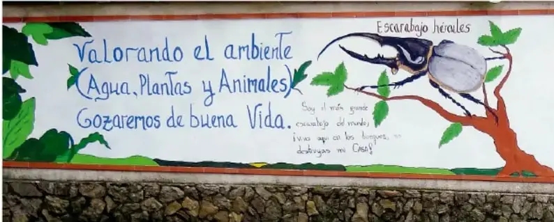 Fotografía de un mural pintado en un muro de piedra que dice "Valorando el ambiente (Agua, Plantas y Animales). Gocemos de buena vida", con ilustración de un escarabajo hércules sobre una rama y hojas verdes, más la leyenda "Soy el más grande escarabajo del mundo; vivo en los bosques... destruyen mi casa".