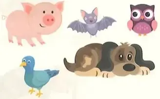 Grupo de animales que incluye un cerdo, un murciélago, un búho, un ave y un armadillo; se deben identificar los animales nocturnos.