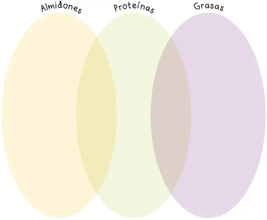 Diagrama de Venn con tres óvalos rotulados Almidones, Proteínas y Grasas.