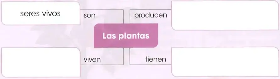 Recuadro vacío destinado a dibujar lo que ocurre con algunas plantas después de tener frutos.