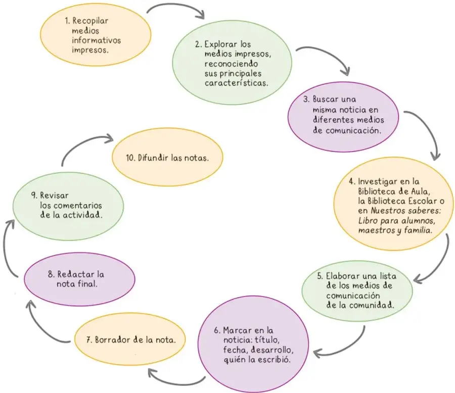 Diagrama circular con 10 óvalos de colores que muestran los pasos del plan para escribir una nota informativa, conectados por flechas en sentido horario.