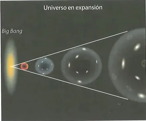 Figura 1 de Ciencias Naturales 8° · Egb 8 Ciencias Naturales 2025 · 2025