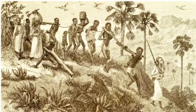 Grabado en sepia que muestra a un grupo de personas africanas esclavizadas caminando encadenadas por un paisaje tropical, custodiadas por un hombre armado con un látigo. Representa el traslado forzado y las condiciones inhumanas del tráfico transatlántico.