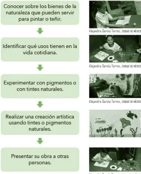Diagrama de flujo de cinco pasos en recuadros verdes unidos por flechas (conocer bienes tintóreos, identificar usos, experimentar, crear y presentar), acompañado de cinco fotografías pequeñas atribuidas a Alejandra García Torres, Ciudad de México, que muestran a niñas y niños pintando, experimentando con pigmentos y exhibiendo sus obras.