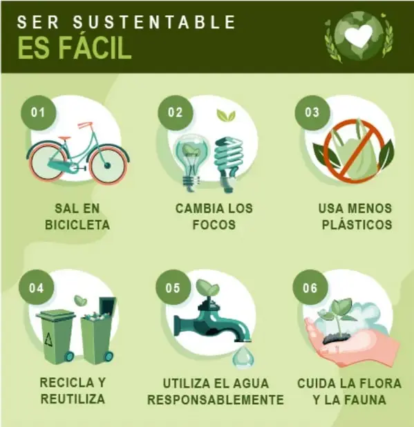 Infografía titulada 'SER SUSTENTABLE ES FÁCIL' con seis íconos numerados: bicicleta, focos ahorradores, prohibición de plásticos, contenedores de reciclaje, grifo de agua y manos sosteniendo una planta.