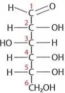 Figura 3 de Ciencias Naturales 9° · 2025