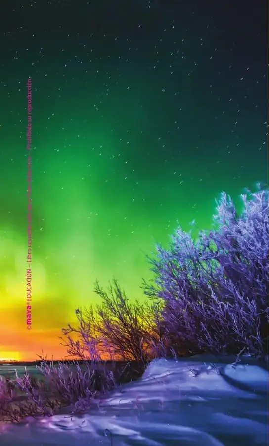Fotografía de una aurora polar con luces verdes, amarillas, anaranjadas y violetas sobre un paisaje nevado y árboles.
