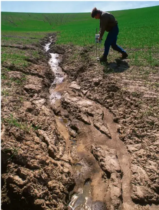 Fotografía de una persona caminando junto a un profundo cauce de erosión hídrica en un suelo agrícola, mostrando el daño causado por la degradación del suelo.