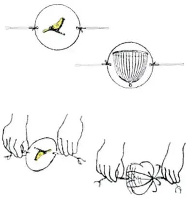Diagramas del taumátropo: un disco con un pájaro en una cara y una jaula en la otra, atado con cuerdas a ambos lados.
