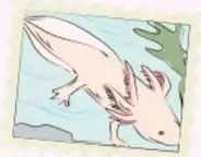 Ilustración de un ajolote nadando entre plantas acuáticas.