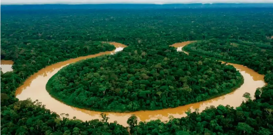 Vista aérea de un río serpenteando a través de una selva densa, con agua de color marrón claro.