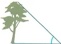 Árbol y triángulo rectángulo para calcular una altura mediante la tangente.