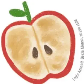 Manzana cortada a la mitad con la pulpa café, oxidada, con el crédito 'Leyla Azeneth Garza Alonso / Nuevo León'.