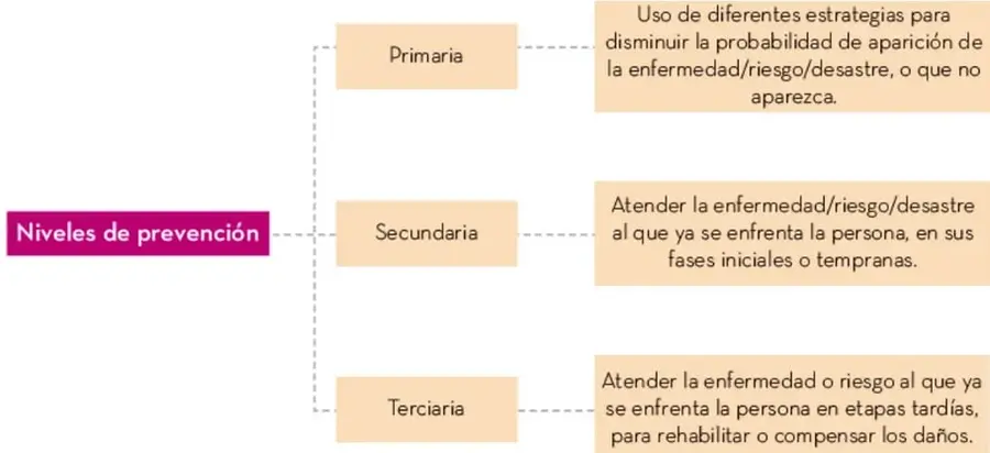 Esquema clasificatorio titulado 'Niveles de prevención' que ramifica en tres niveles (Primaria, Secundaria, Terciaria), cada uno conectado con un recuadro que describe su definición.