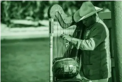 Fotografía (en tinta verde del libro) de un músico con guayabera anaranjada, pantalón y sombrero blancos, tocando un arpa de madera recargada en su hombro al aire libre.