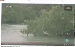 Recuadro de competencia digital que invita a observar un video sobre la importancia de los manglares.