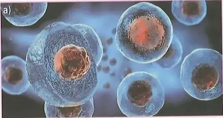 Figura 1 de Ciencias Naturales 8° · Egb 8 Ciencias Naturales 2025 · 2025