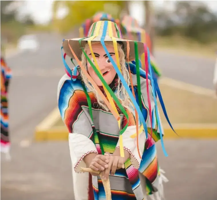 Columna con iconos de colores que representan los campos formativos o ejes articuladores del proyecto.