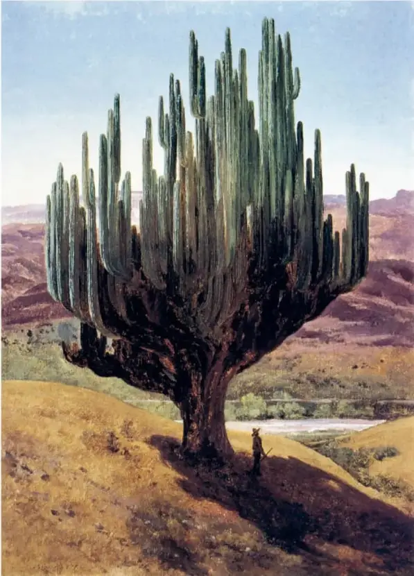 Pintura 'Cardón, estado de Oaxaca' (1887): enorme cactus columnar sobre una colina, con una persona diminuta a sus pies.